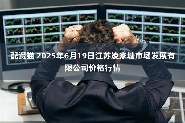 配资猫 2025年6月19日江苏凌家塘市场发展有限公司价格行情